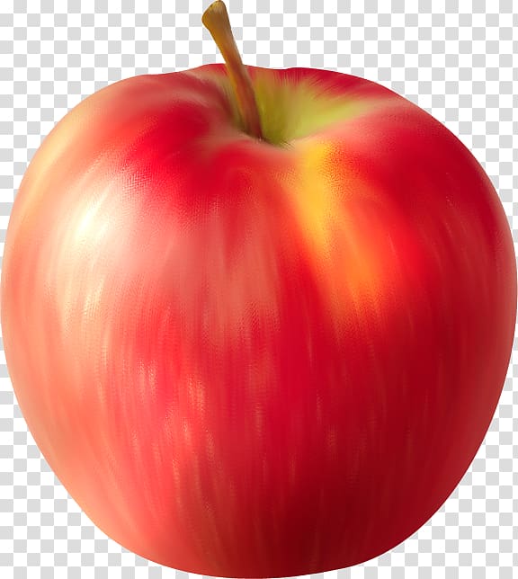 red apple fruit painting, Apple Auglis Computer Software , Autumn Red Apple transparent background PNG clipart