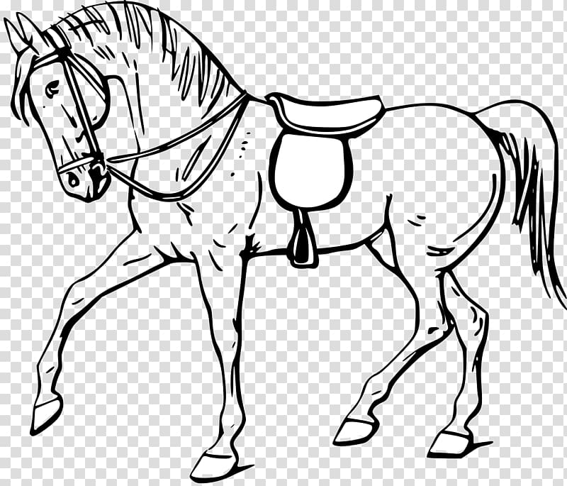 Tennessee Walking Horse Horse gait , Horse transparent background PNG clipart