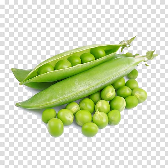 Pea Vegetable Seed Fruit Food, pea transparent background PNG clipart