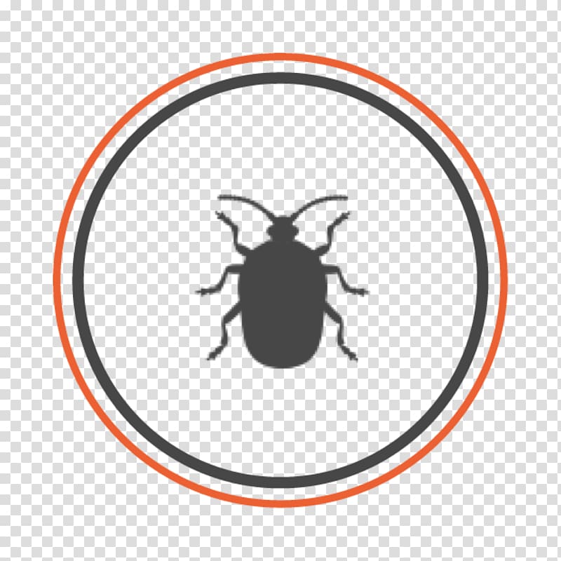 Beetle Allgood Pest Solutions Brown marmorated stink bug Bed bug, beetle transparent background PNG clipart