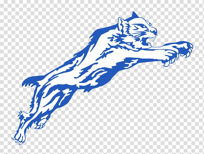 Paris High School Arizona Wildcats football University of Kentucky, Cat transparent background PNG clipart
