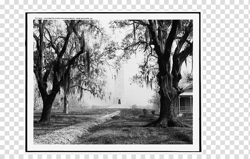 Battle of New Orleans Chalmette Art Canvas print, source file library transparent background PNG clipart