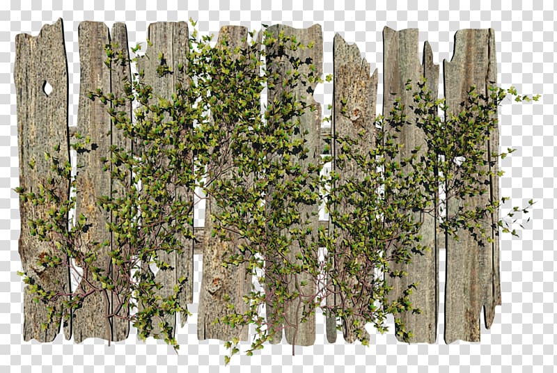 Picket fence Garden Gate, Fence transparent background PNG clipart