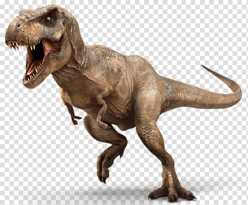 T Rex Transparent Background Png Cliparts Free Download Hiclipart - dinosaur baryonyx velociraptor tyrannosaurus roblox png clipart