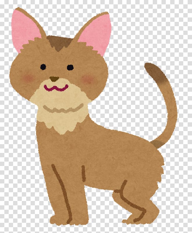 Whiskers Abyssinian cat Maine Coon American Shorthair Cat Food, others transparent background PNG clipart
