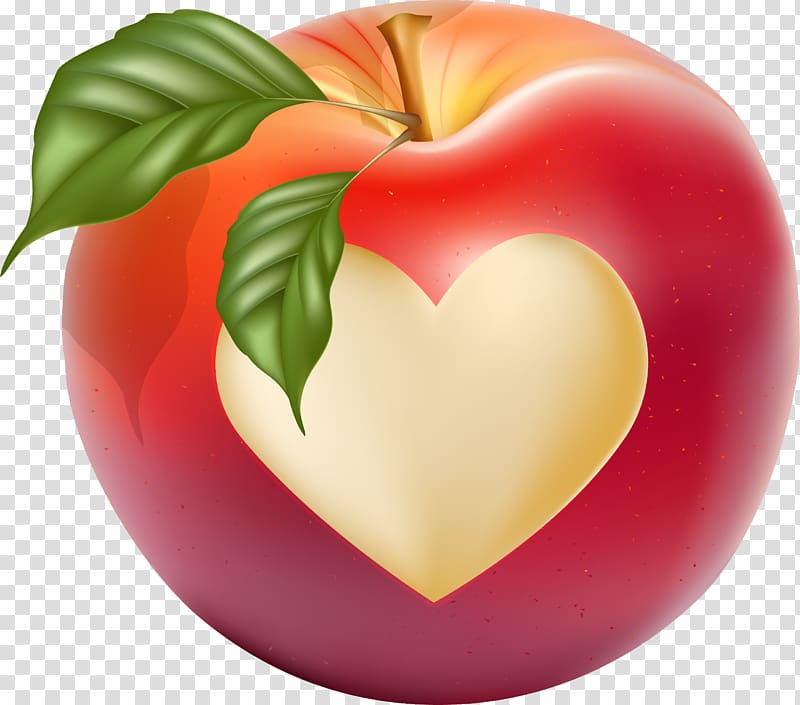 Heart Drawing, Hand drawn Love Apple transparent background PNG clipart