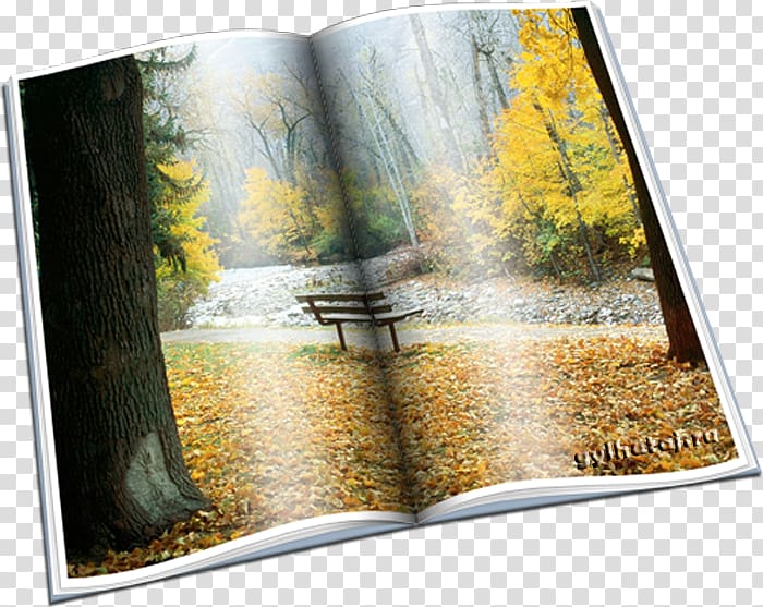 Verse Autumn Text Unforgettable Prose, autumn transparent background PNG clipart
