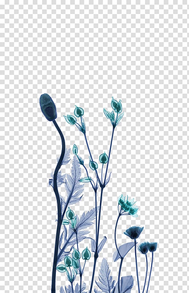 X-ray generator Work of art Artist, Green dream flower decoration pattern transparent background PNG clipart