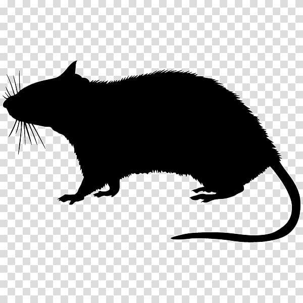 Rodent Silhouette, Silhouette transparent background PNG clipart