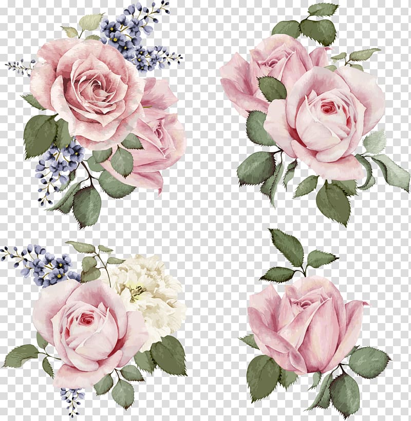 Rose illustration Flower Illustration, Hand-painted roses, four pink rose clusters transparent background PNG clipart