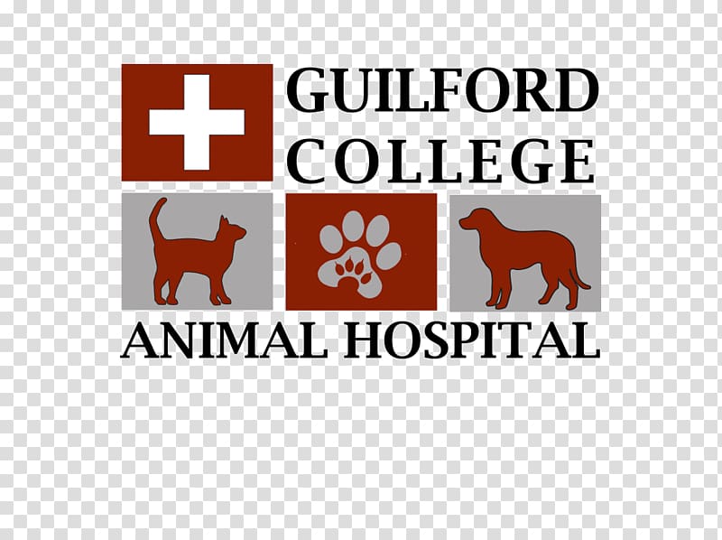 Guilford College Animal Hospital Dog After Hours Veterinary Emergency Clinic, PA Veterinarian, Dog transparent background PNG clipart