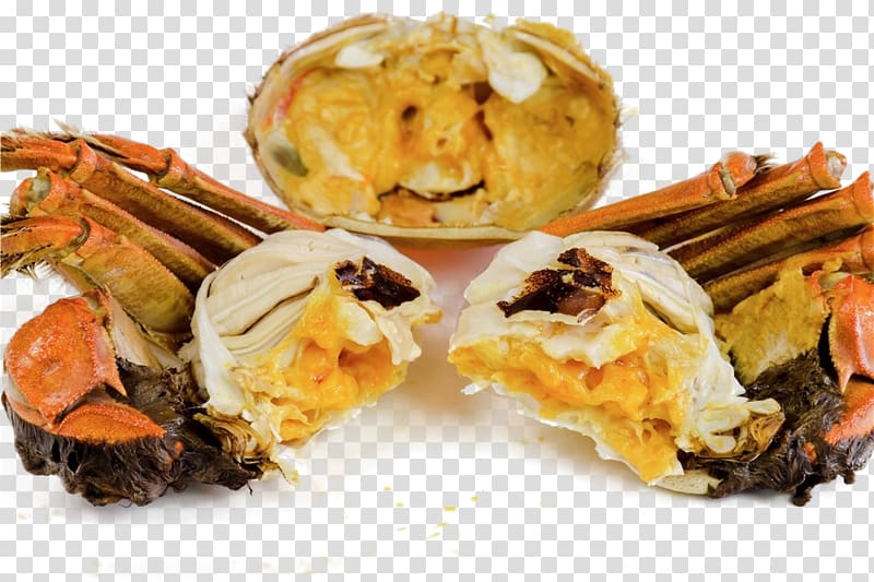 Chinese mitten crab Eating Food u87f9u9ec3u6e6fu5305, Crabs transparent background PNG clipart