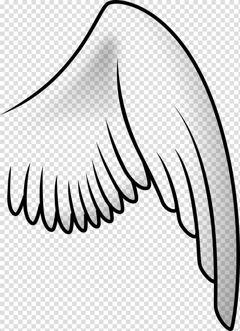 , angel wings transparent background PNG clipart