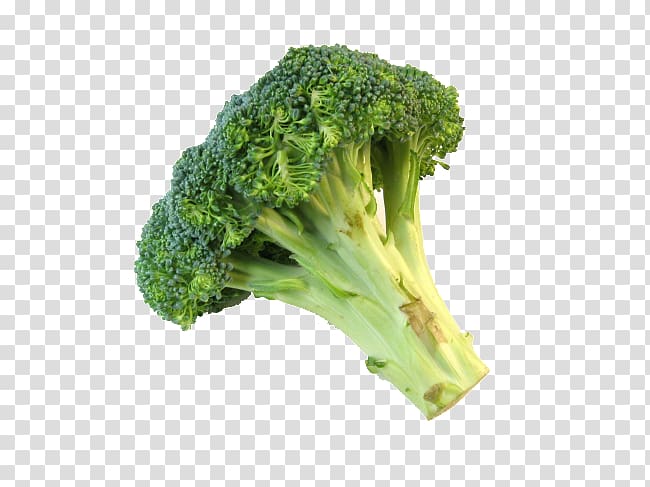 Romanesco broccoli Broccolini Vegetable, cauliflower transparent background PNG clipart