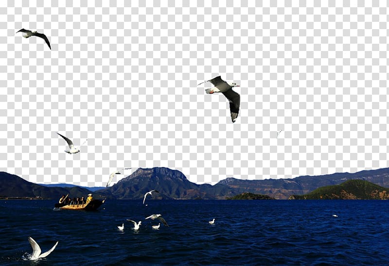 Lugu Lake Slender West Lake Namtso Daming Lake Deer Lake, Beautiful views of the lake transparent background PNG clipart