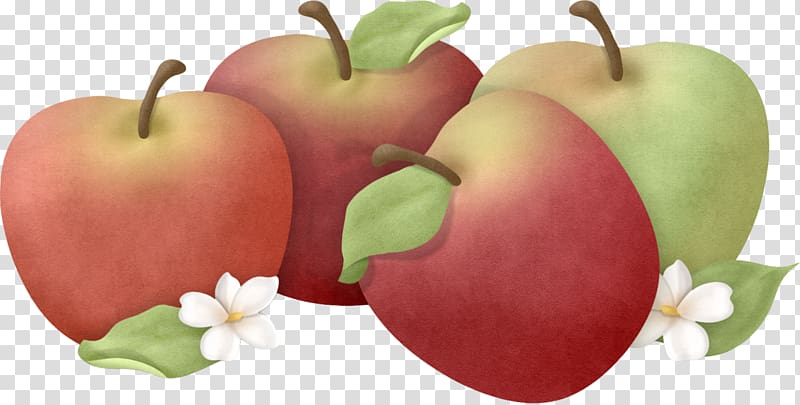 Food Apple Fruits et légumes Auglis, apple transparent background PNG clipart