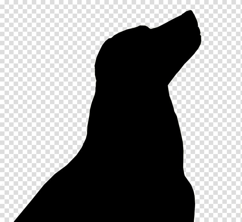 Labrador Retriever Golden Retriever Puppy Bear Creek Labs Kodiak bear, golden retriever transparent background PNG clipart