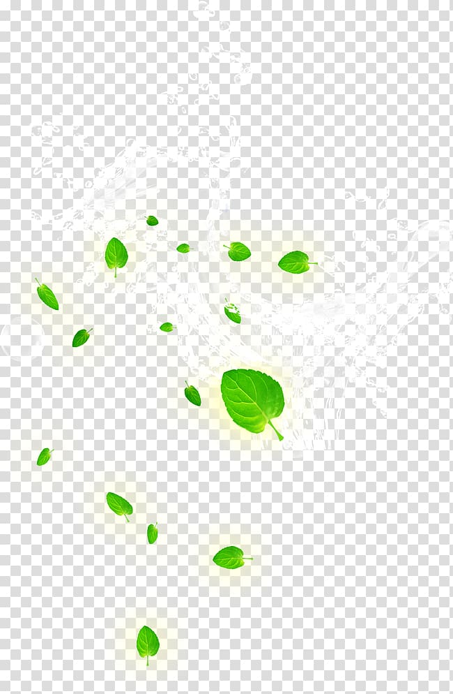 Leaf Area Pattern, Spray,Water ripples transparent background PNG clipart