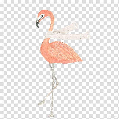 Water bird Paper Greater flamingo Watercolor painting, Bird transparent background PNG clipart