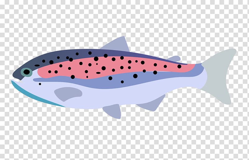 Rainbow trout Fish Drawing, Color pet fish transparent background PNG clipart