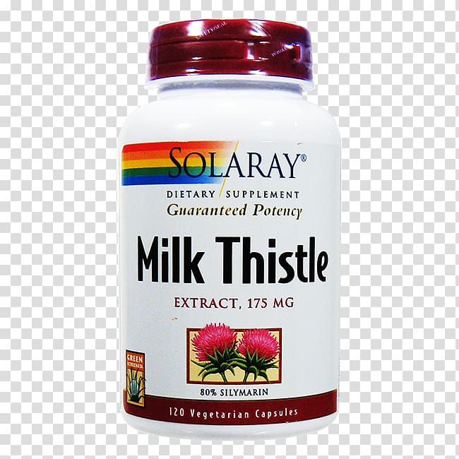Dietary supplement Milk thistle Extract Capsule European horse-chestnut, Milk thistle transparent background PNG clipart