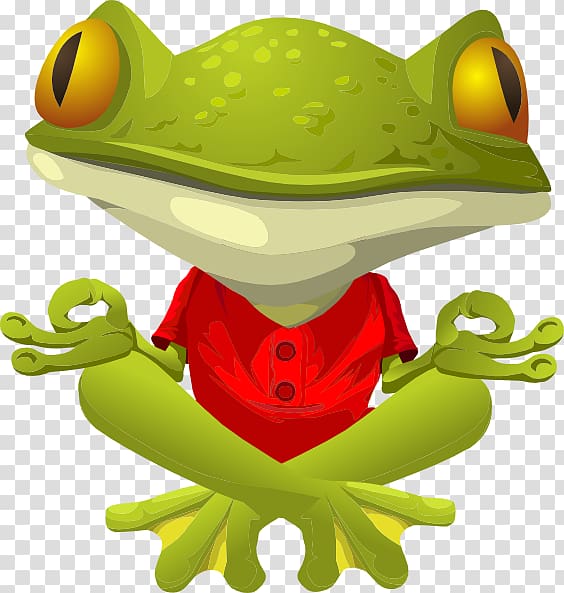 Frog Lithobates clamitans Yoga , frog transparent background PNG clipart