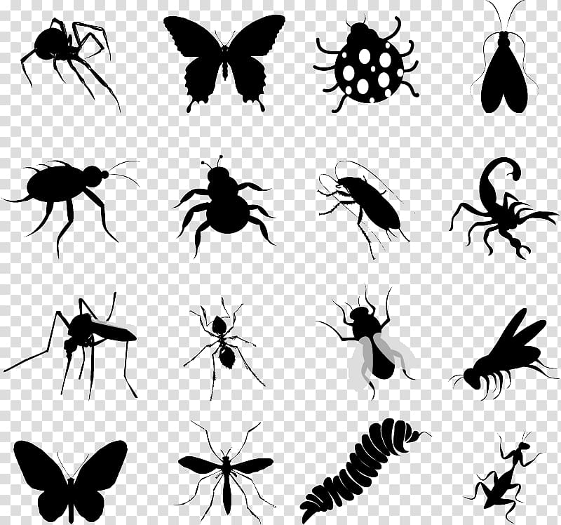 Insect Silhouette Butterfly , Insect Silhouettes transparent background PNG clipart