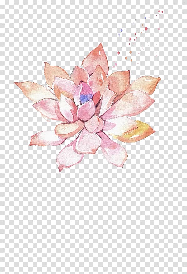 brown and pink lily painting illustration, Watercolor painting Succulent plant Illustration, lotus transparent background PNG clipart