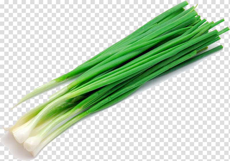 Onion Leek Salad Food energy Herb, chopped green onion transparent background PNG clipart