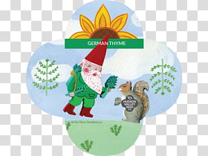 Herb Hudson Valley Seed Company Perennial plant, thyme transparent background PNG clipart thumbnail