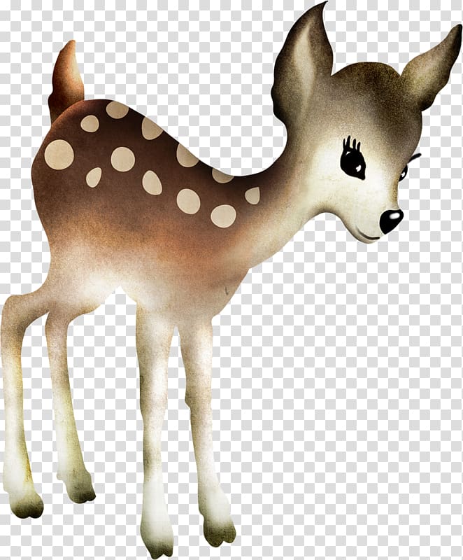 Reindeer Red deer Antelope Gazelle, Cute deer transparent background PNG clipart