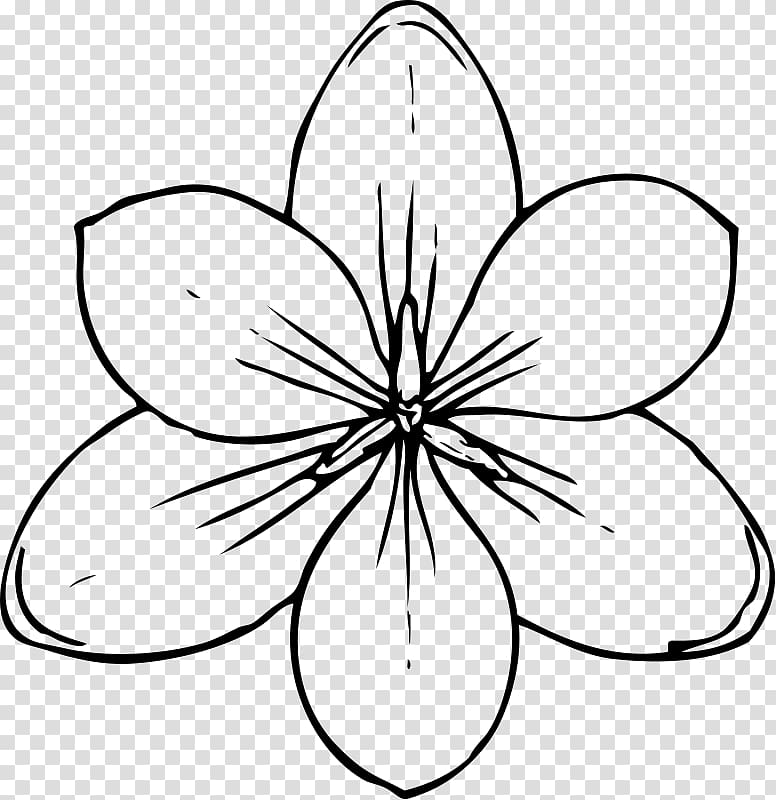 Nature Drawing and Design; , flower transparent background PNG clipart