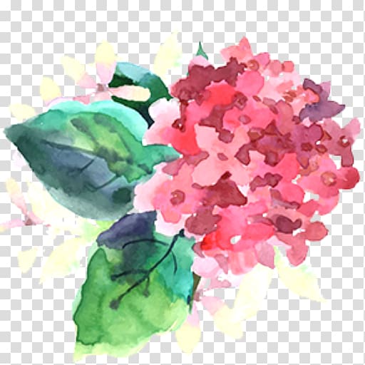 Watercolor painting Flower , bougainvillea transparent background PNG clipart