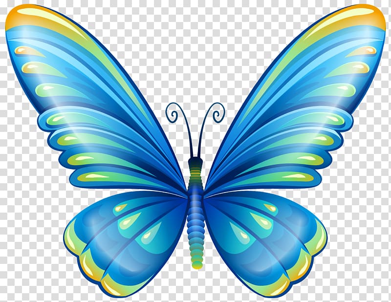 blue and green butterfly illustration, Butterfly , Large Art Blue Butterfly transparent background PNG clipart