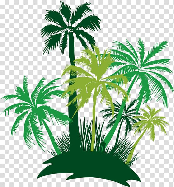 Asian palmyra palm Palm trees Catch a Vibe Jetty Nomad, tree transparent background PNG clipart