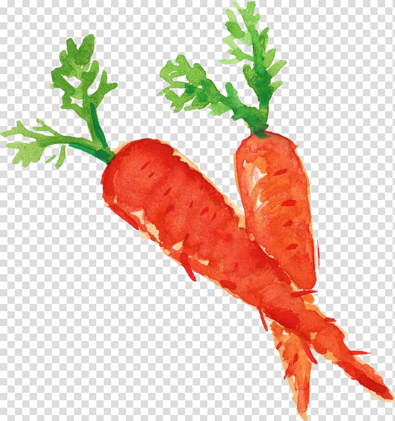 Carrot Vegetable Food, Carrots transparent background PNG clipart