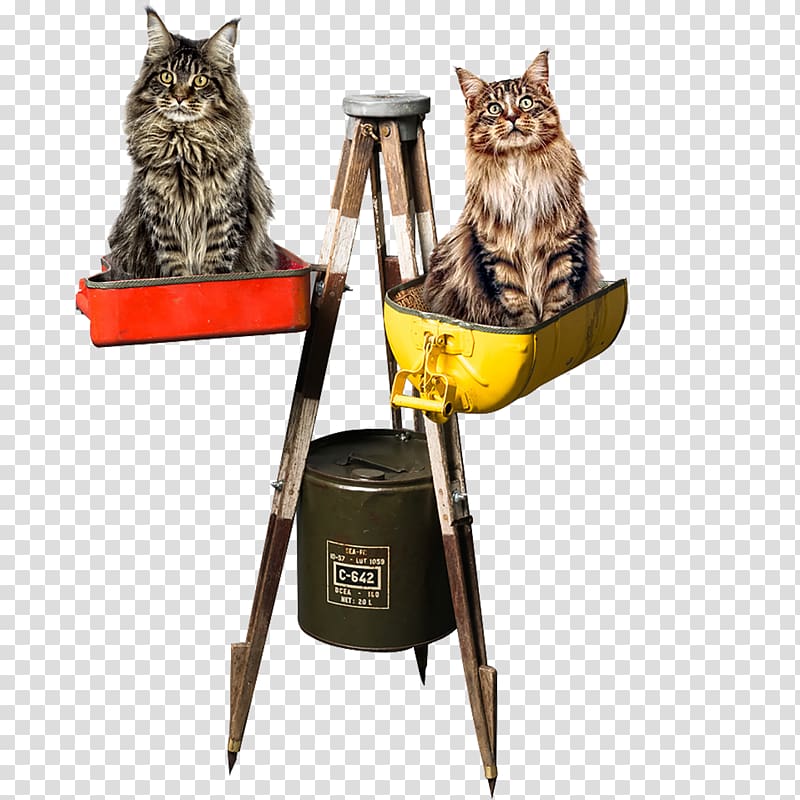 Maine Coon Cat tree Dog Banquette Tripod, tripod theodolite transparent background PNG clipart