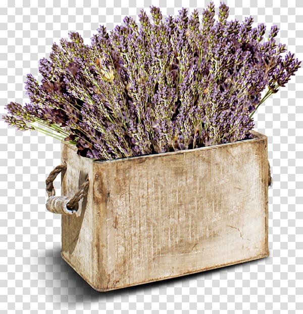 Plateau de Valensole French lavender Paper Decoupage, others transparent background PNG clipart