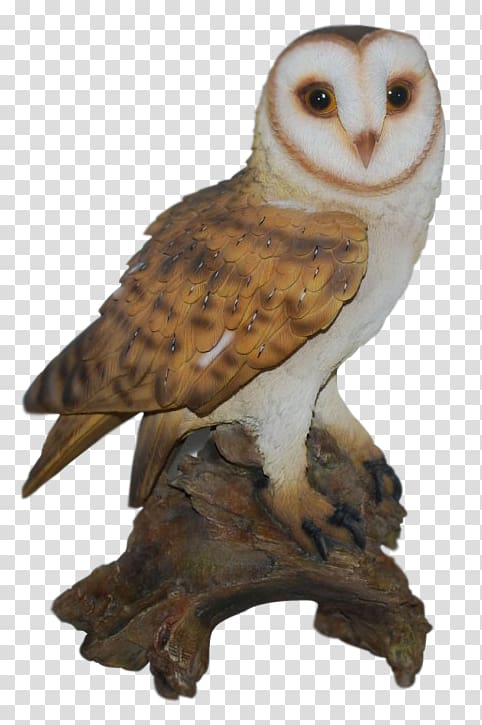 Tawny owl Bird Barn owl Ornament, owl transparent background PNG clipart