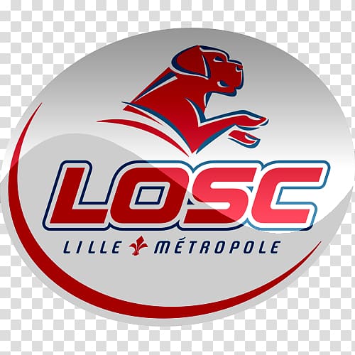 Lille OSC France Ligue 1 Stadium Lille Métropole Football, football transparent background PNG clipart