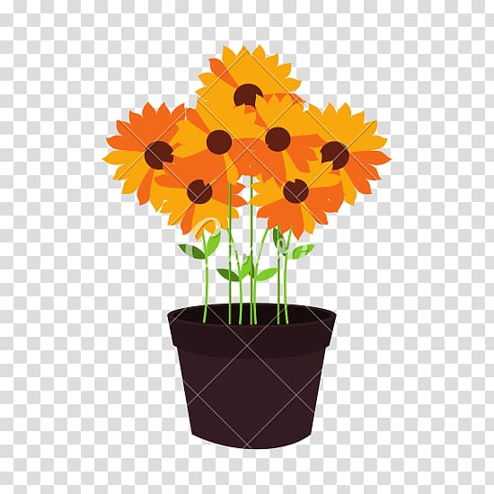 Flowerpot Common sunflower Graphic design, flower pot transparent background PNG clipart