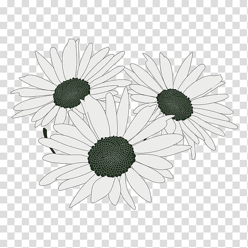 Common daisy Flower bouquet Floral design Cut flowers, flower transparent background PNG clipart