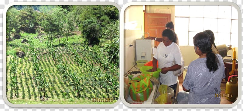 Chota, Peru Caritas Internationalis 0 Family Agriculture, chota transparent background PNG clipart