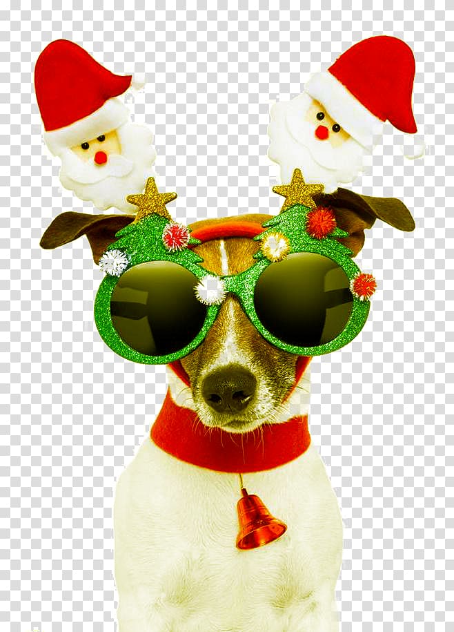 Santa Claus Dog Christmas card Greeting card, Christmas dog design elements transparent background PNG clipart
