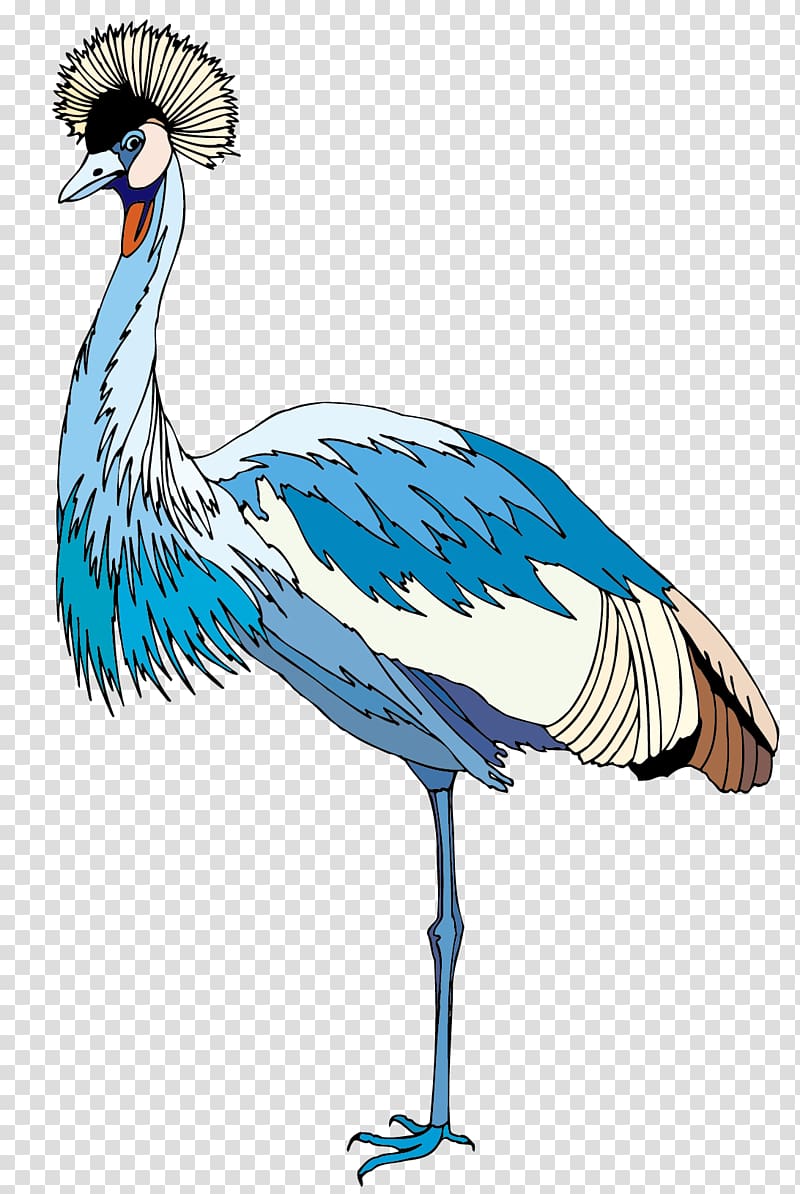 Crane Bird Illustration, Peacock material transparent background PNG clipart