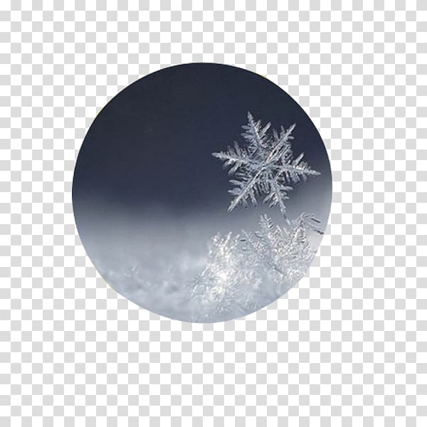 Dongzhi Illustration, Snowflake sheet material transparent background PNG clipart
