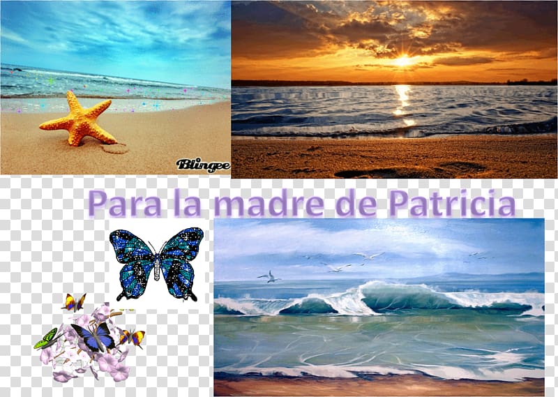 Advertising Desktop Vacation Tourism, dia de la mujer transparent background PNG clipart