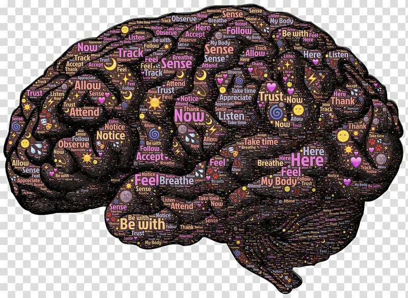 Human brain Neural pathway Neuroplasticity Mind, Brain circuits transparent background PNG clipart