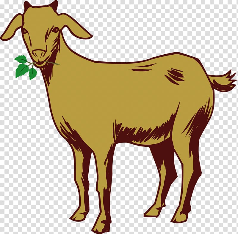 Kinder goat Sheep, goat transparent background PNG clipart