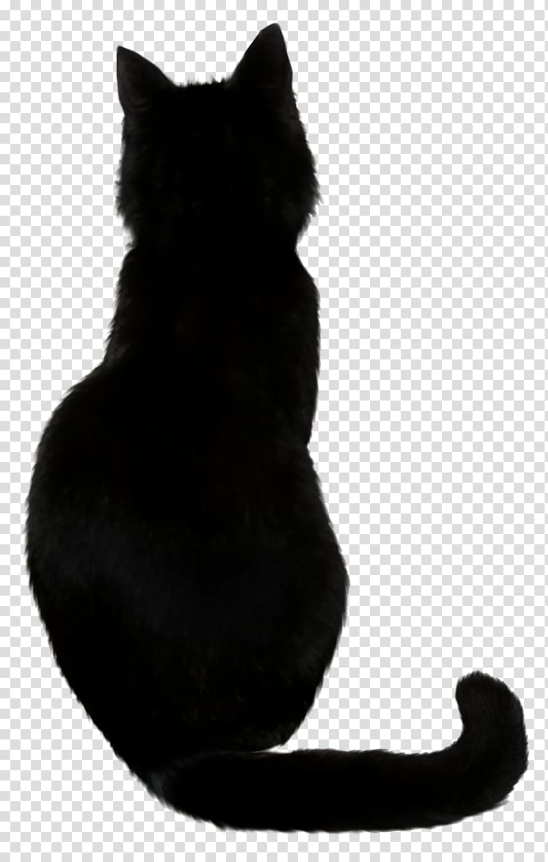 cat silhouette , Savannah cat Black cat Cat food Kitten, Witch Cat transparent background PNG clipart